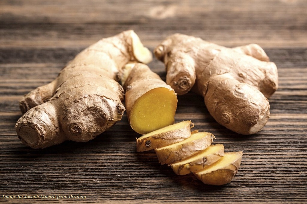 A meta-analysis of 13 studies found that #ginger can significantly improve general symptoms of #nausea during #pregnancy! Interestingly, it helps relieve the severity of nausea but may not have a significant effect on reducing vomiting. tandfonline.com/doi/abs/10.108… #HealthyLiving