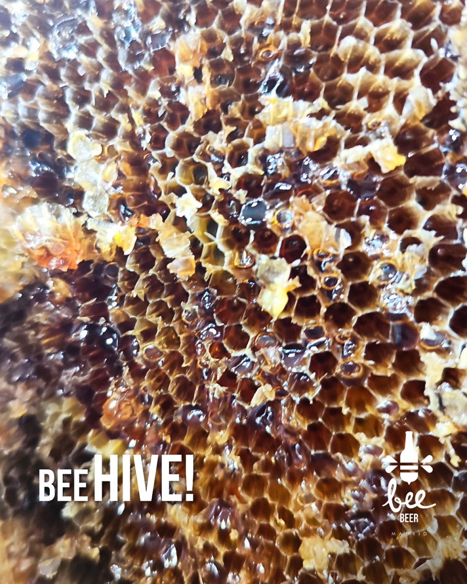 beebeermadrid's tweet photo. 🐝Bee HIVE | Hello MAY💥
¡Nuestro mes favorito para celebrar!🎉

7 años más allá de la Cerveza Artesanal, atreviéndonos a crear cerveza real y pura.

🚨ABIERTOS hoy y mañana a partir de las 13h

[ 📨 Bee Bars OPEN All Week, RESERVAS Link in Bio ]
 #craftbeermadrid #craftbeer https://t.co/1UVOTrCYJe