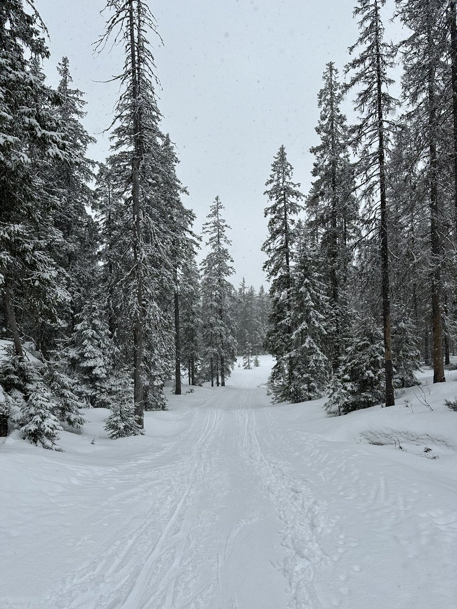 Skjennungstua tweet media