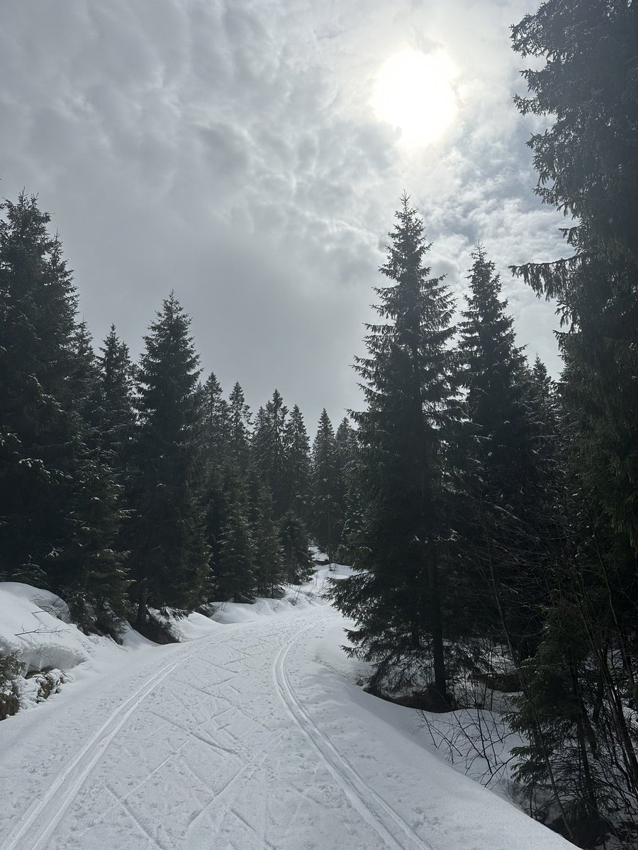 Skjennungstua tweet media