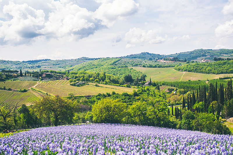 Leonardo Manetti - Poet & Tuscan Winemaker tweet media