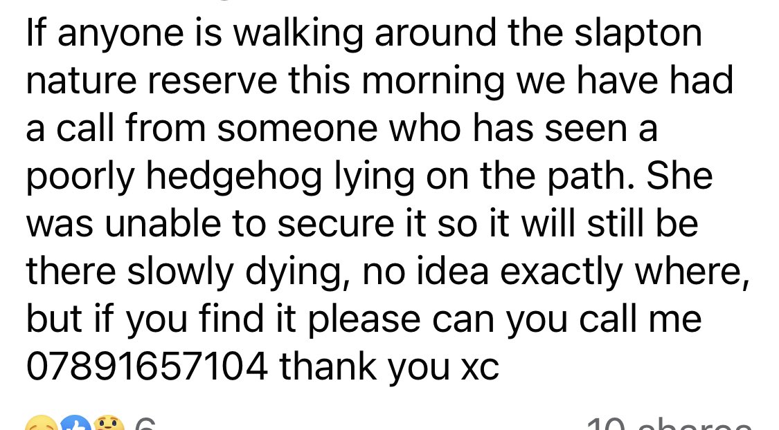 Anyone walking around Slapton Ley today - please look out for this poorly hedgehog. I’ve just seen this message from our local rescue.