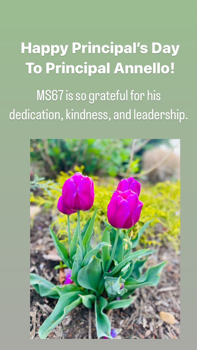 MS67Q PTA tweet media