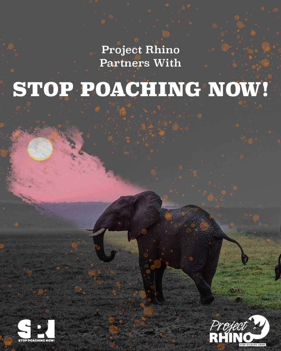 ProjectRhinoKZN tweet media