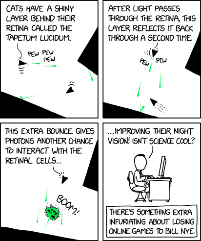 tom2185's tweet photo. Tapetum Lucidum https://t.co/AhpUMLCXYS #xkcd #geek https://t.co/FKMteYzqJA