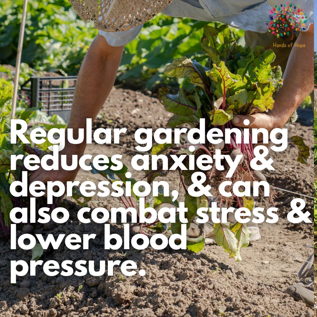 HandsofHopeUK's tweet image. Its "National Gardening Week". If you want to experience the many health and social benefits gardening provides, why not join us at #hopefarmcommunitygarden, Hawkhurst, on Monday, 8th for #BigHelpOut. Contact inf@hohcharity.co.uk to find out more.