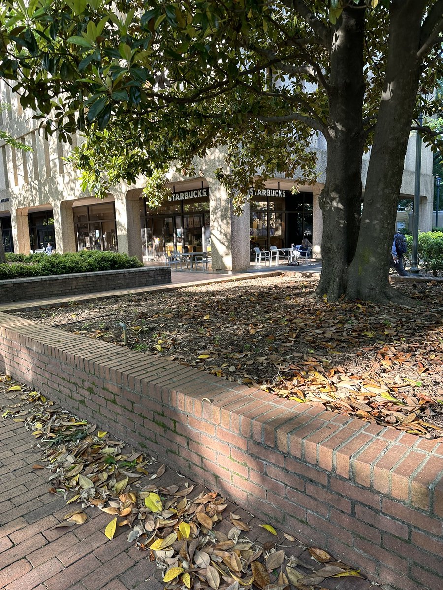 dawnstaley tweet media