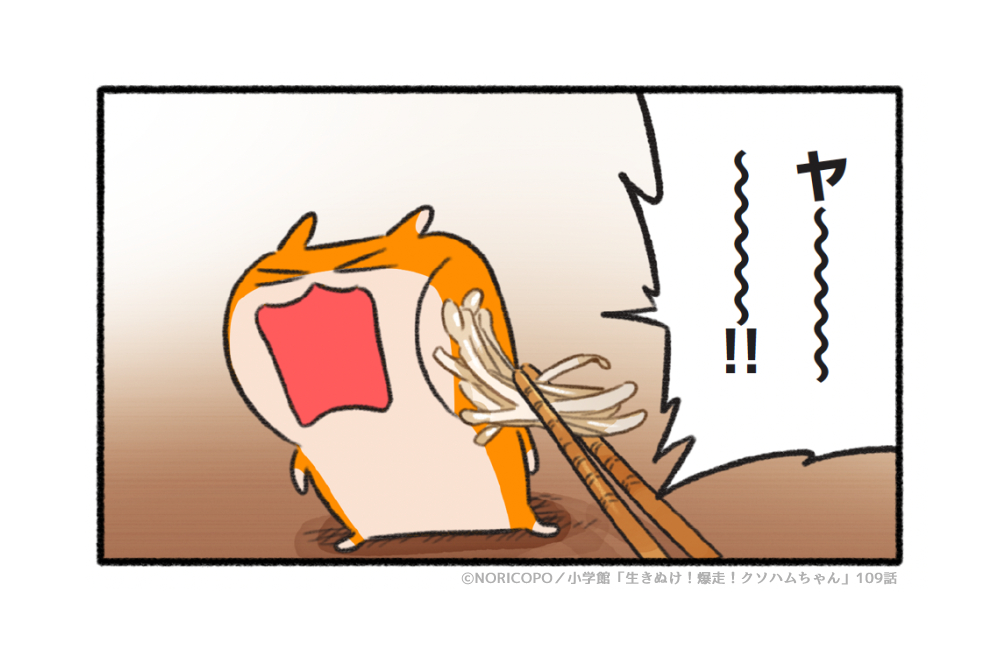 『#生きぬけ爆走クソハムちゃん』(113話)   漫画更新されました!クソハムのイヤイヤ期です。    続き⇒ #マンガワン