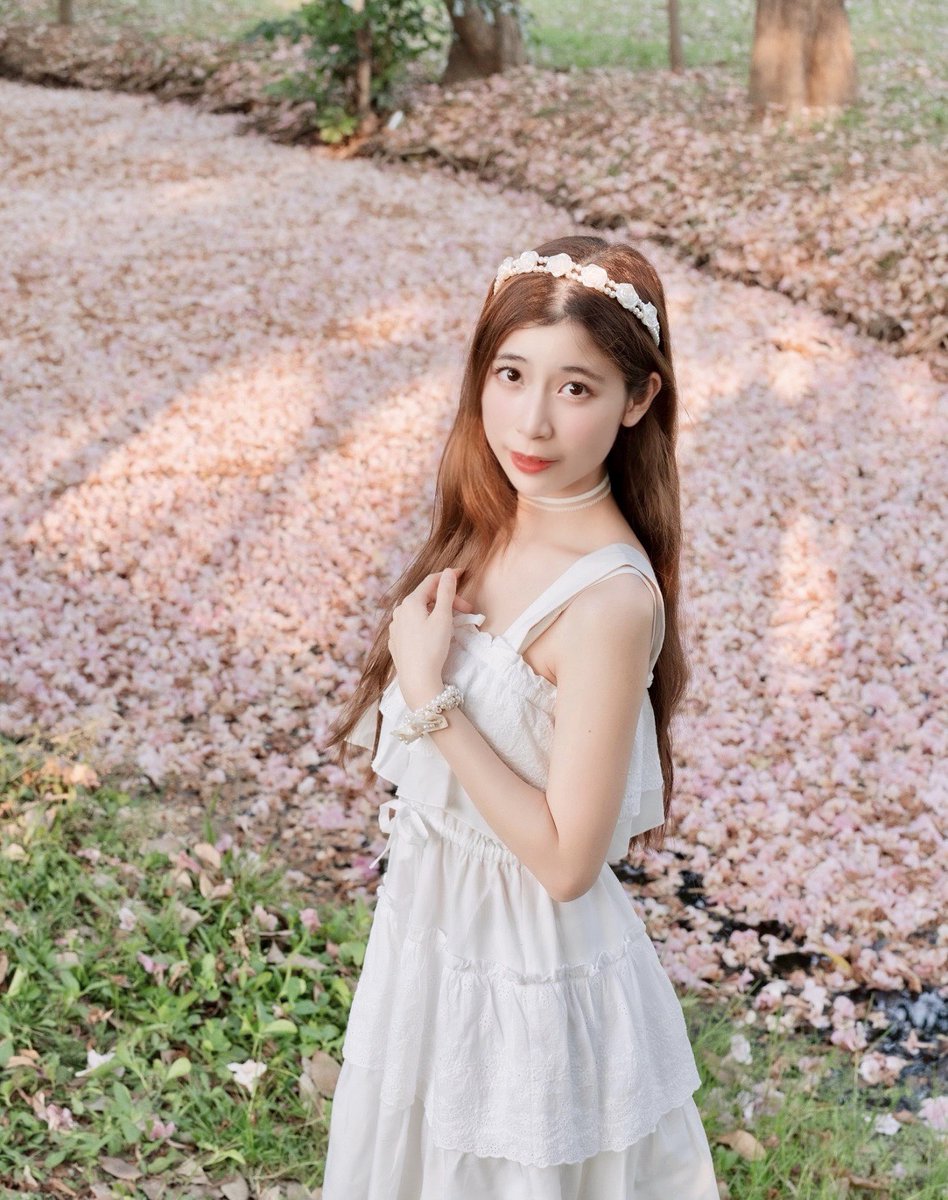 Kidcatmew's tweet photo. รอบนี้ไปถ่ายทันแค่ตอนดอกไม้ร่วง > <
คราวหลังจะไปให้ไวกว่านี้🌸✨

#สวนเบญจกิติ #พญาเสือโคร่ง #kidcatmew #อุ้งเท้าเเมว🐾 https://t.co/T1Rw22uU05