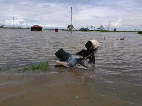 Drought in Kisumu,Nyando subcounty,Ogenya sub location.
A boy trying to prepare food for the flesh.#Serikalisaidia #LabourDay2023 #kesho <a href="/citizentv/">Citizen Tv</a> #Azimio #luos #Shame <a href="/MOH_Kenya/">Ministry of Health</a> <a href="/WilliamsRuto/">William Samoei Ruto, PhD</a> <a href="/AnyangNyongo/">Gov. Anyang' Nyong'o</a> <a href="/RamogiTVKe/">Ramogi Tv</a> <a href="/StandardKenya/">The Standard Digital</a> <a href="/KBCChannel1/">KBC Channel 1 News</a> <a href="/ProfOjiendaTom/">Senator.Prof. Tom Ojienda SC</a> <a href="/KenyaRedCross/">Kenya Red Cross</a>