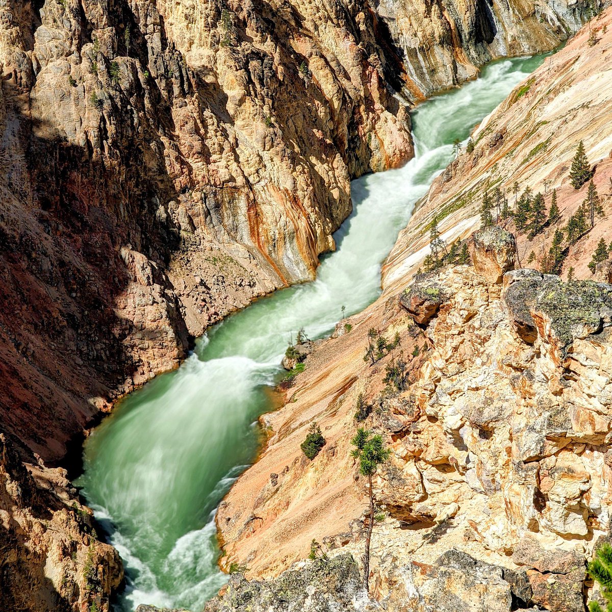 GooglePixel_US's tweet image. We've got a challenge for you...Share a photo that fits the prompt below and we'll share selects later this month.

Share a photo you took with Pixel that you’re really proud of 😁