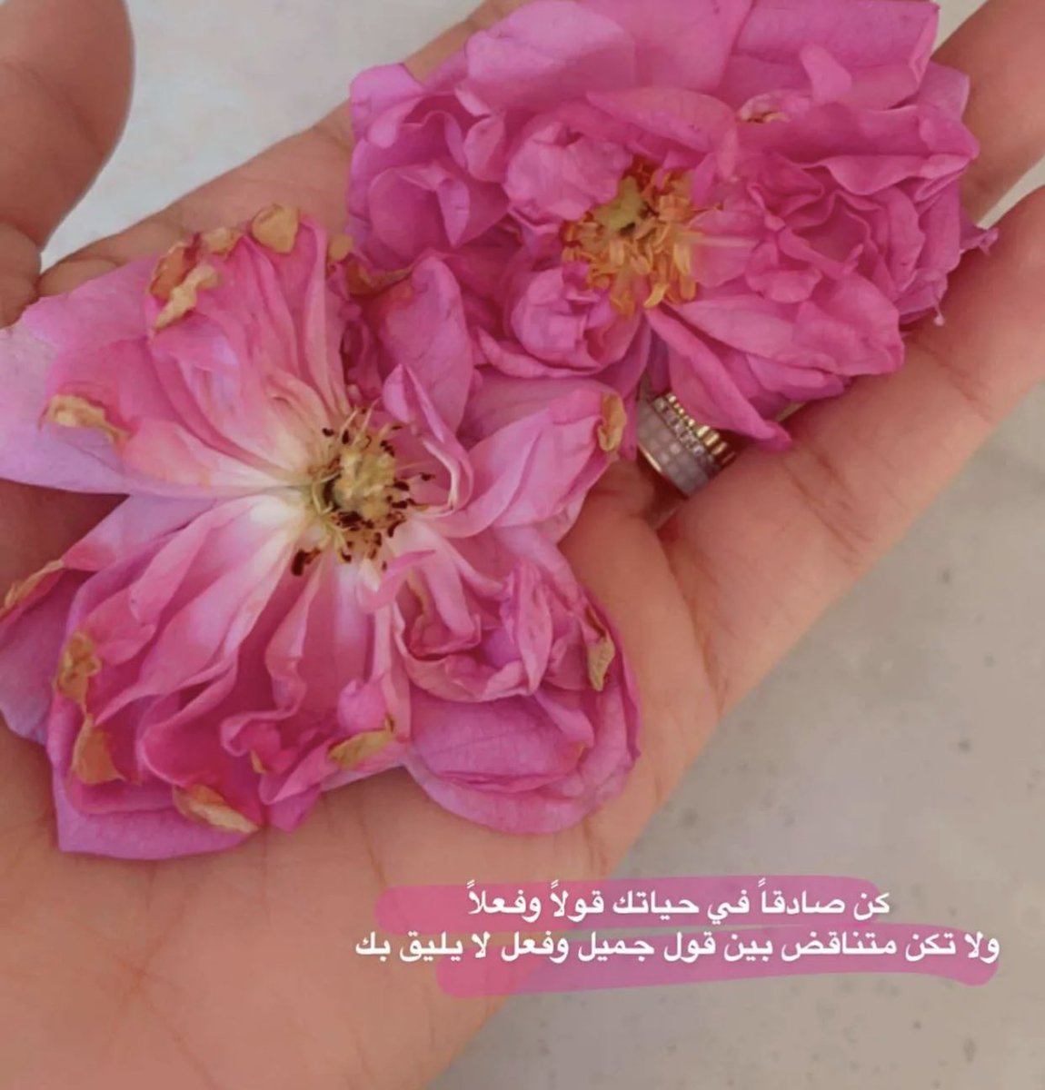 kjfafld's tweet photo. https://t.co/sh1CGp6noP