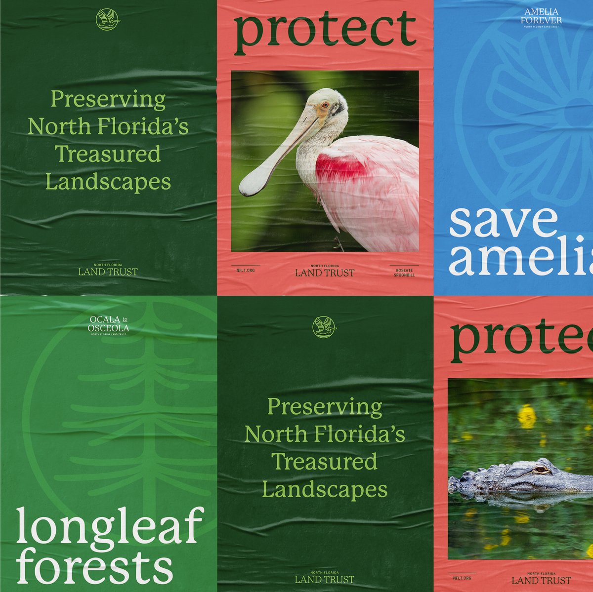 Meet the new <a href="/nflandtrust/">North Florida Land Trust</a> ! Our rebrand captures the essence of its mission by pulling inspiration from the unique plants and animals of North Florida. Thank you to our client for their trust and collaboration. See the full rebrand here: bit.ly/3APgOS1
