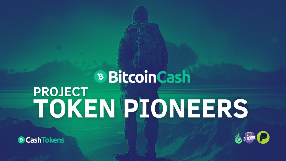 I've been watching #CashTokens development for more than 2y now, and remain excited about where it can take the ecosystem

I'm seeing that there is a need for marketing &amp; developer education around the CashTokens launch on mainnet

Check out my project!

flipstarter.bitcoincashsite.com/en