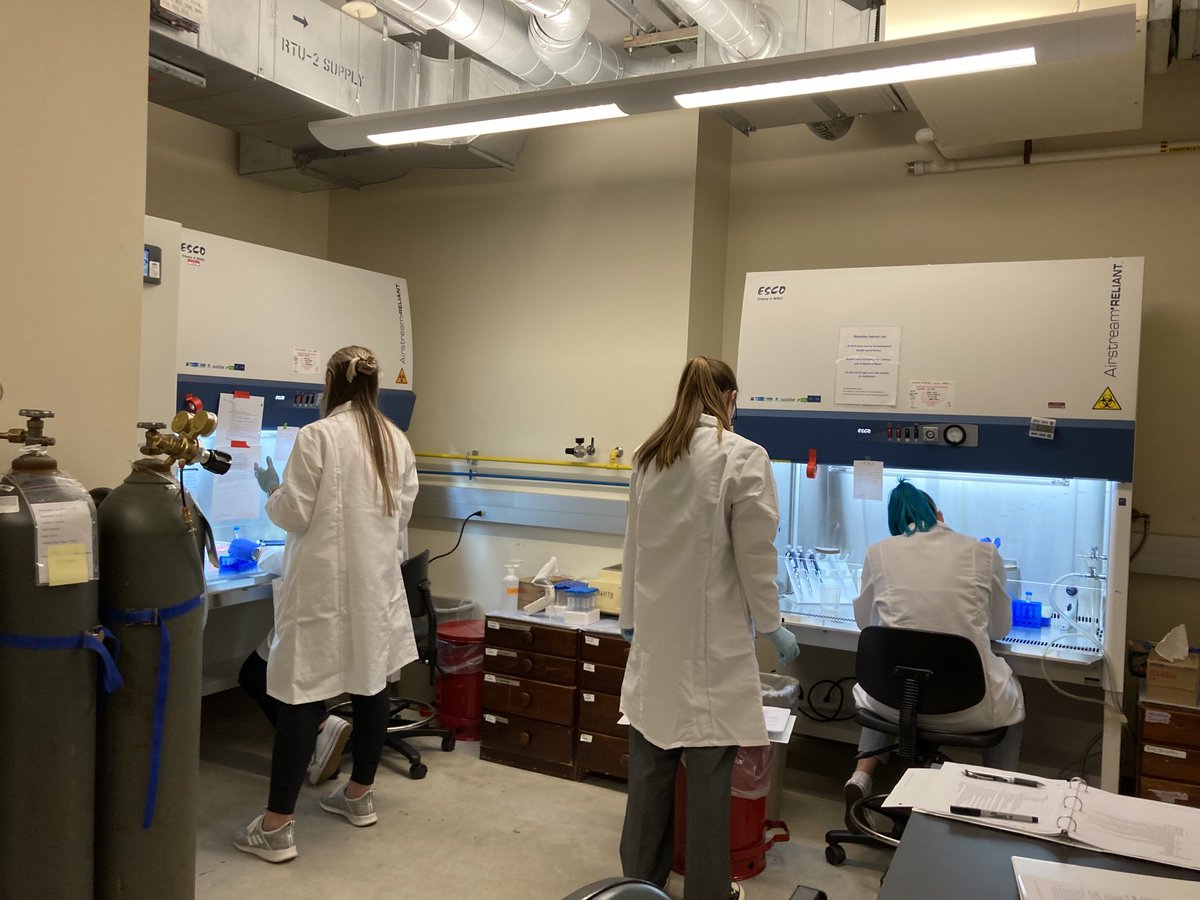 First lab at ⁦⁦<a href="/FIRbees/">FIR</a>⁩ transcription!