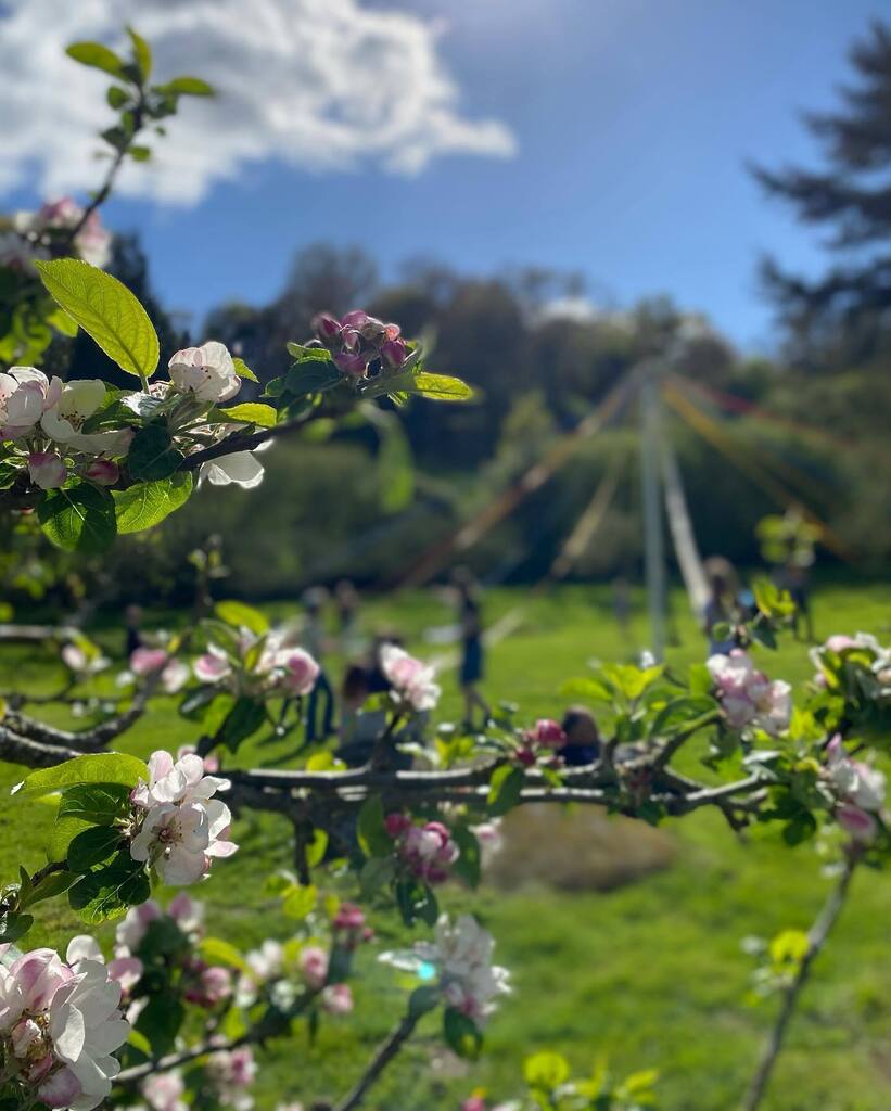 Happy May Day everyone. 
Happy Beltane. 

I hope those that had a bank holiday enjoyed some sunshine. 

We had our first May Day maypole dance practice. … I was a stand in .. 

May Day is a big deal in our village with a May Queen first crowned here … instagr.am/p/CrtZBTXr-zE/