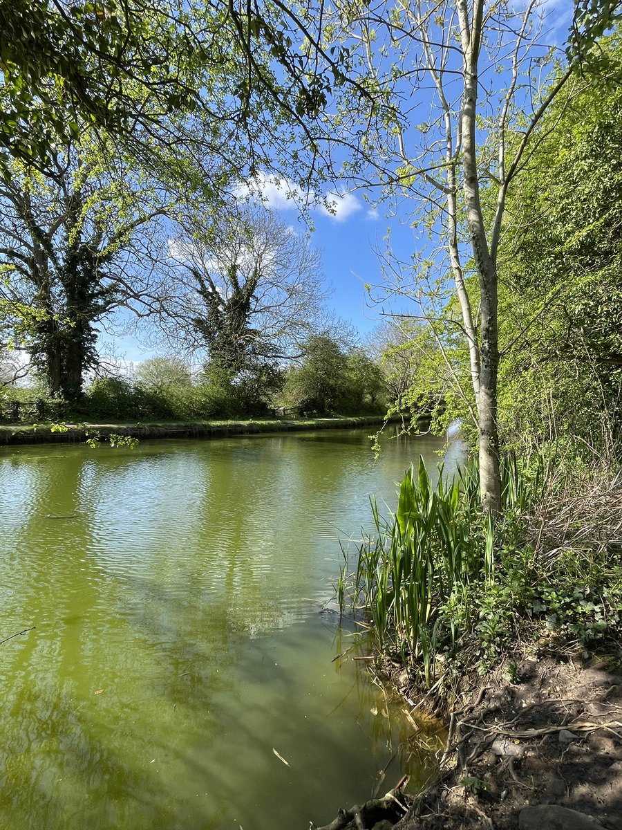 hawkino1960's tweet photo. Set 4 of 4.
#EverardsMeadows #Leicestershire #iphonephotography #iphone12promax #NoFilters https://t.co/iHP5n24cP8