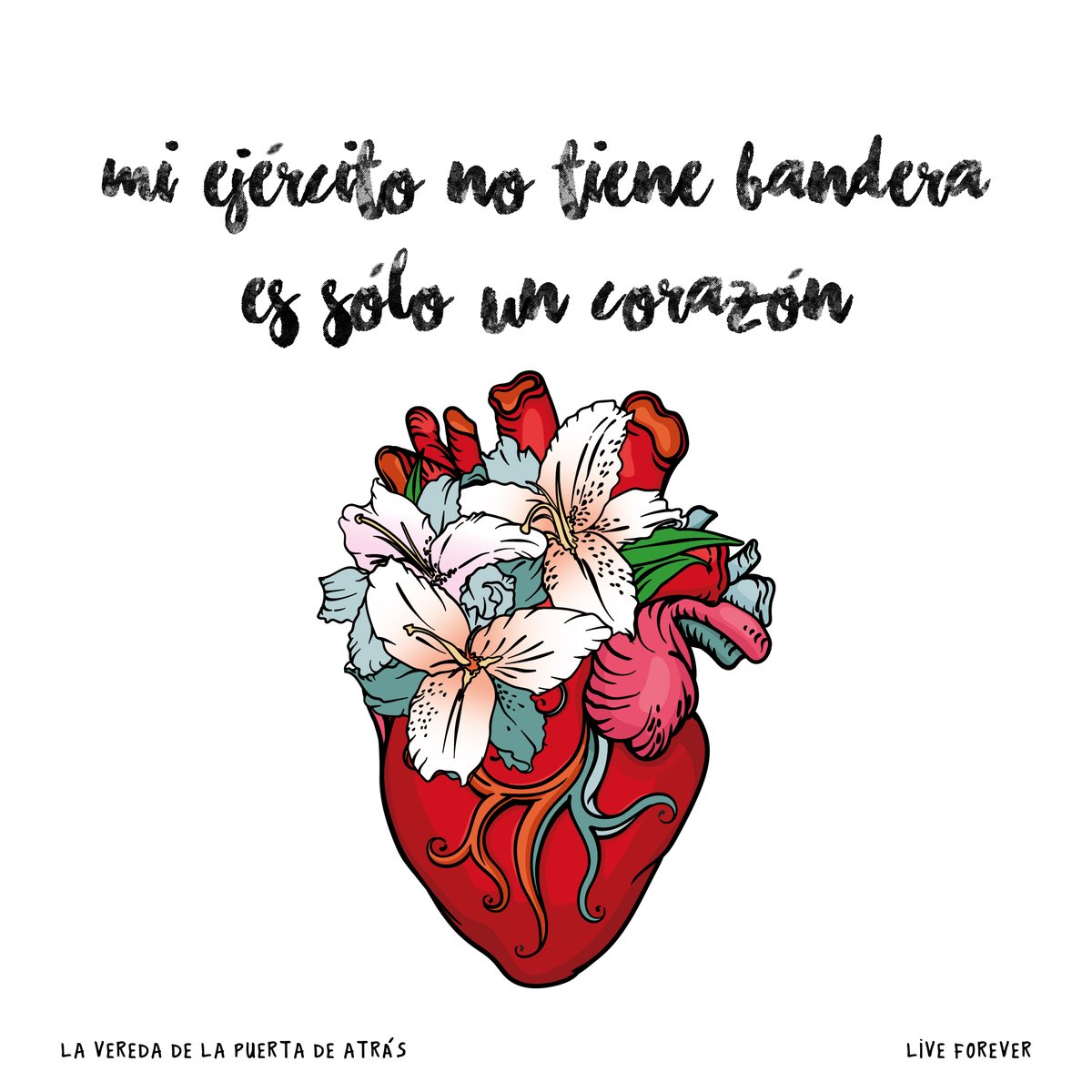 Live Forever (@soyliveforever) on Twitter photo 