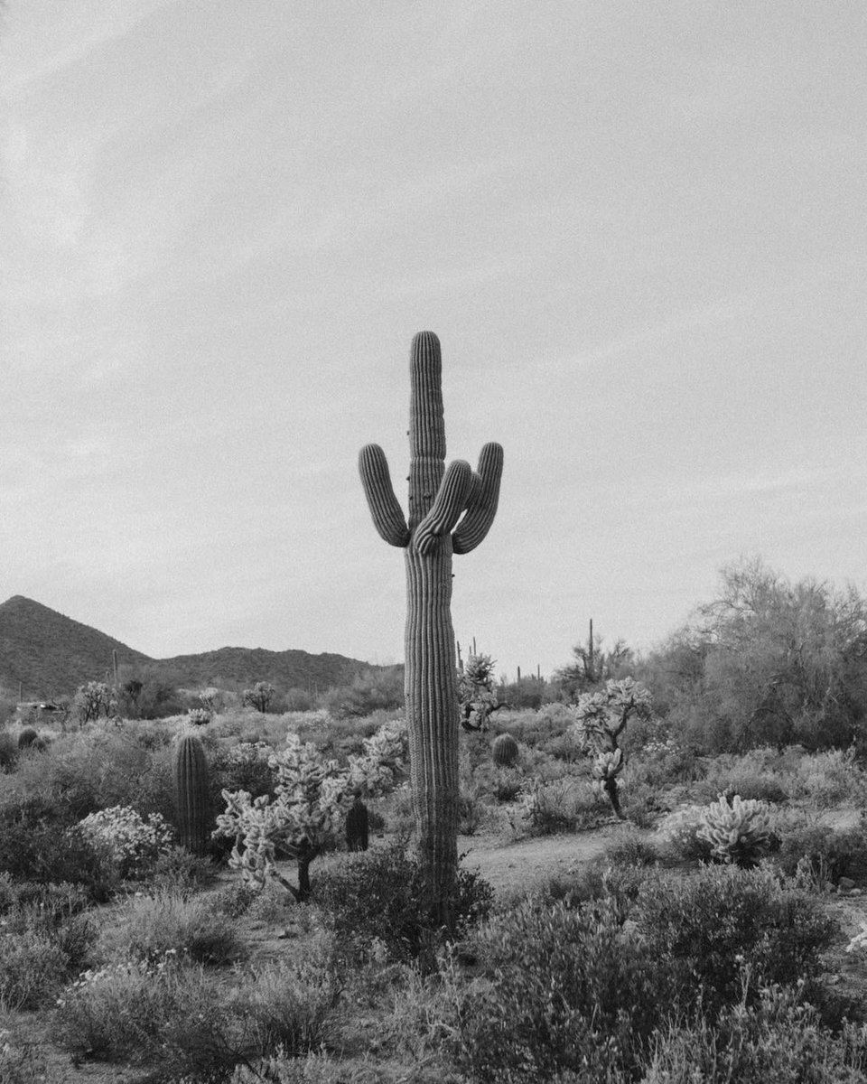 taylorisabela's tweet photo. So long Arizona https://t.co/e8nZV0pd1Q