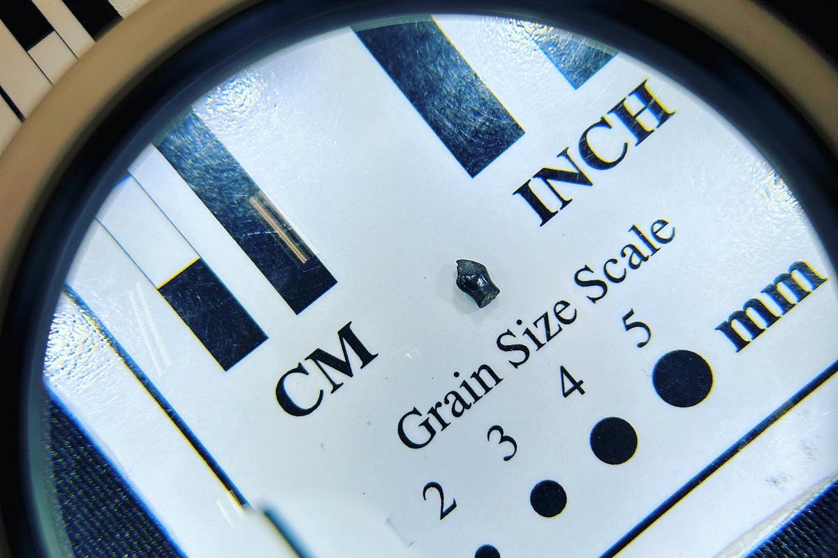 CretaceousCreatures tweet media