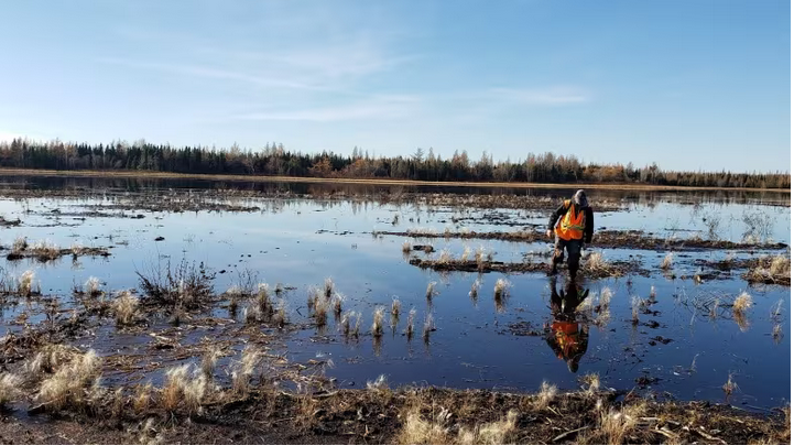 Our very own <a href="/PeatWhittington/">Pete Whittington</a> was interviewed to discuss how peatlands on the Prairies are at risk from climate change.

cbc.ca/news/canada/ed…

<a href="/BrandonUni/">Brandon University</a> 
<a href="/BUresearch/">BU Research</a>