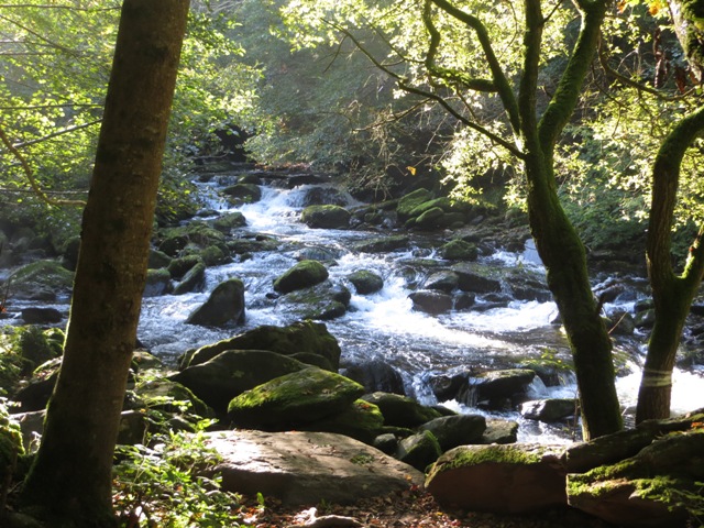 Exmoor NPCs on Twitter: 