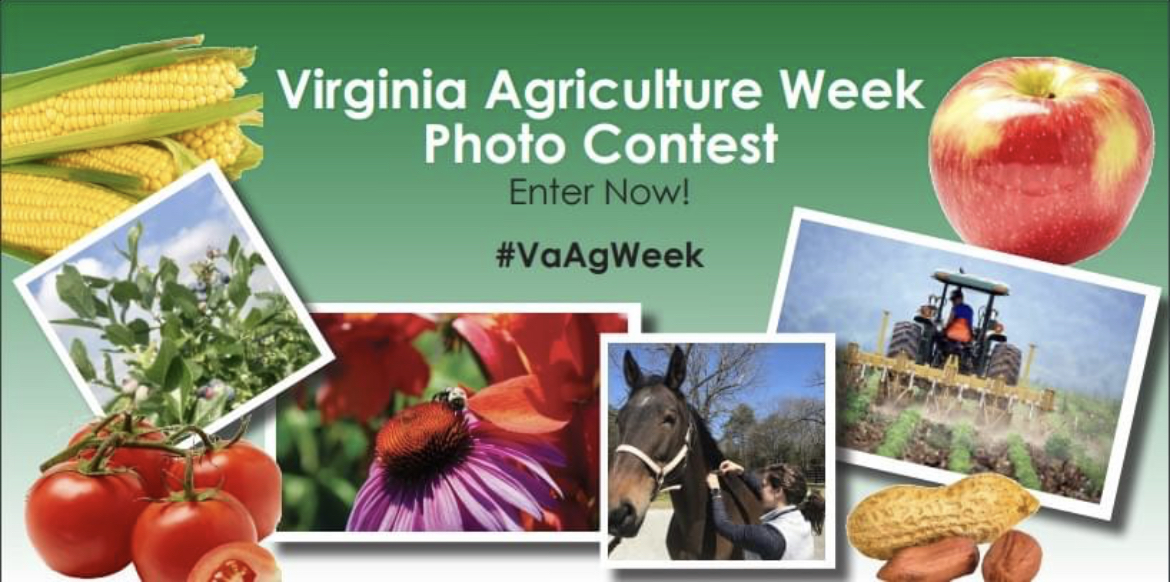 VaAgriculture's tweet photo. Take your best shot! Enter your photos of VA agriculture now in the following categories.
~ Farm Tractors & Equipment
~ Fresh Catch
~ Faces of Agriculture
~ Farmers Markets/Farm Shops
~ Fields
You could win prizes and get published! #VaAgWeek #AgPhotos https://t.co/BgWvkSzmFr https://t.co/994A8QAGPE