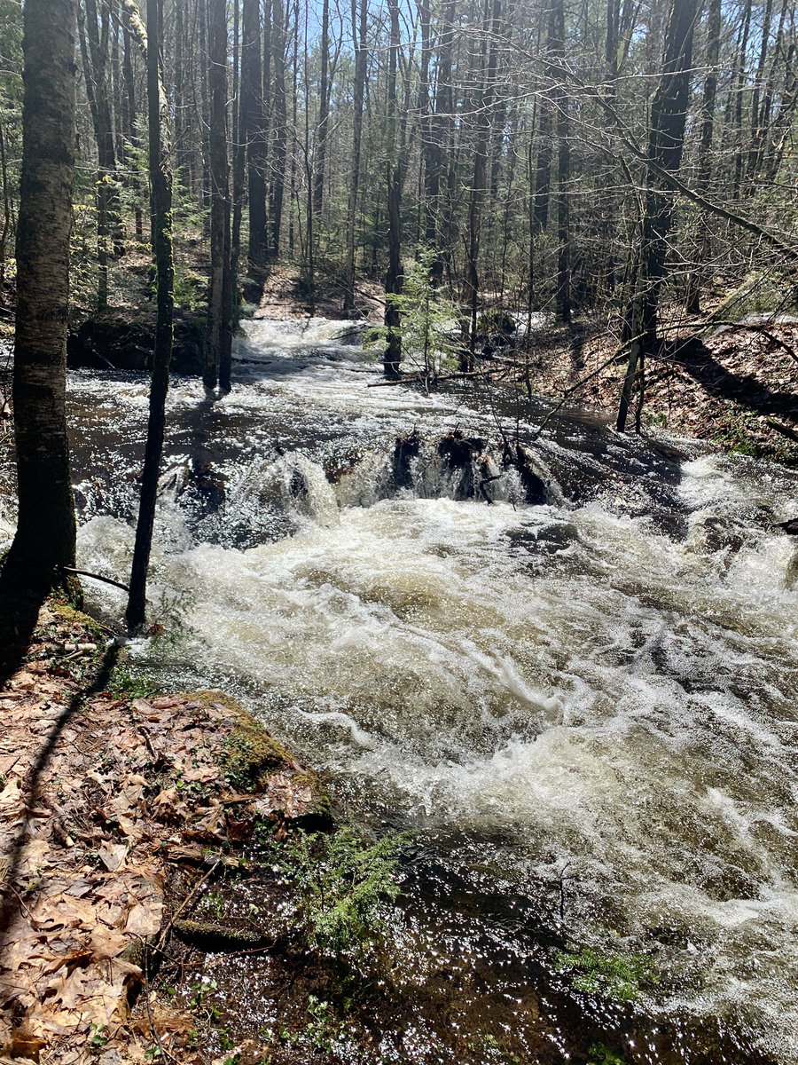 DariAlpi's tweet photo. The rapids of #PolandMaine https://t.co/Qu5TiGJFxD