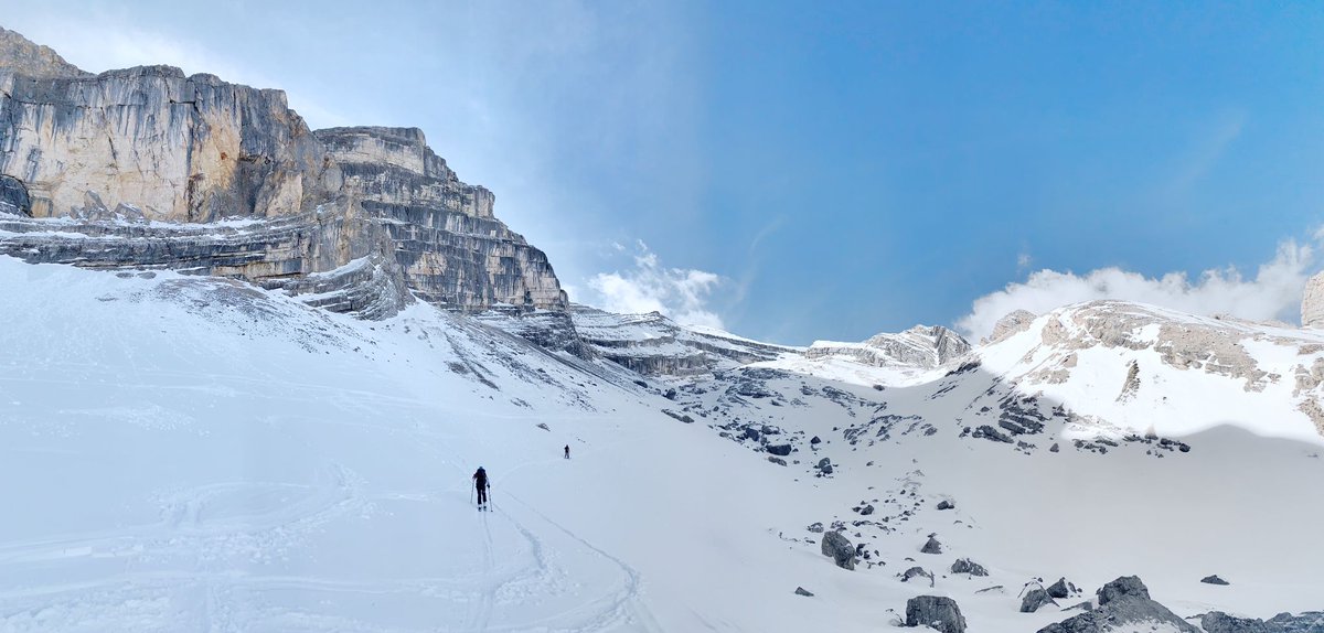 Outdoor Medicine tweet media