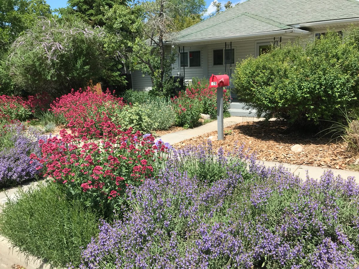 Today Utah launched a waterwise landscaping incentive program, which will offer eligible residents up to $3 per square foot to replace their grass with low-water plants! This is a key step towards improving water security in the state.

utahwatersavers.com