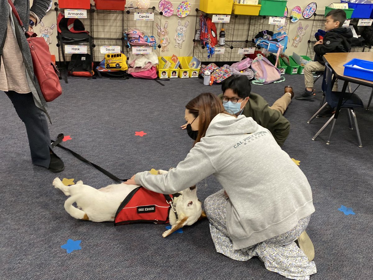 Alisa Trakulboon tweet media