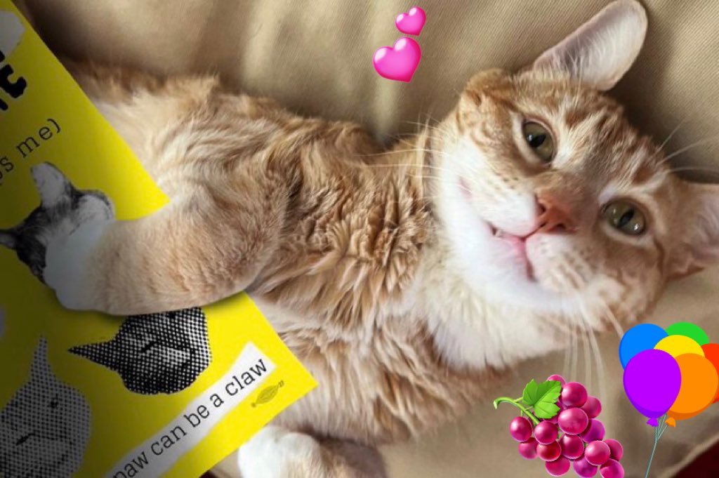 May Day is also MY BIRTHDAY! If you would like to give me a present please follow the link and make a May Day donation to <a href="/UFWupdates/">United Farm Workers</a>. If you donate $15 or more, United Farm Workers will send you a digital copy of Jean’s Zine! 

LINK: act.seiu.org/a/jortsbday2023