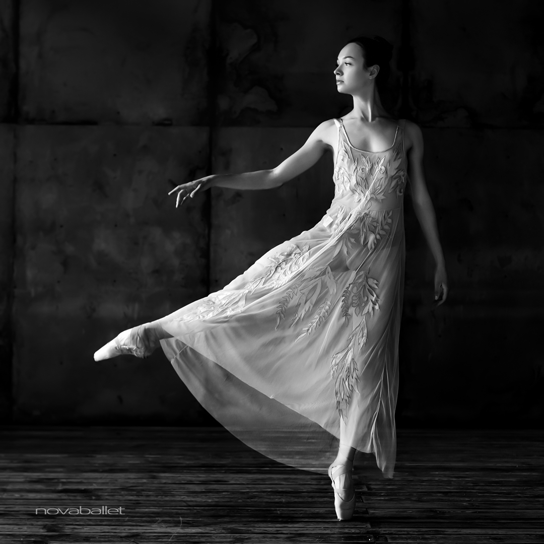 novaballet tweet media
