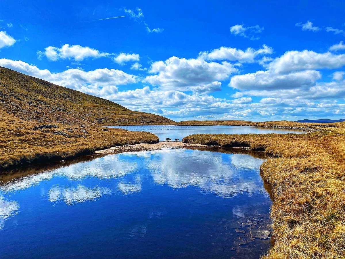 oldcrofthouse's tweet photo. #wildboarfell #stunningviews #notasoulinsight #mountainwalk #fellwalking #sandtarn #westmorlanddales #YorkshireDalesNationalPark #NationalWalkingMonth #WalkThisMay #discovernewplaces #walkingadventures #exploretheunknown #stayandwander #kirkbystephen #cumbria https://t.co/0WZW1PexOQ