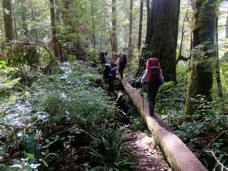 GreatCanTrails's tweet image. The rugged West Coast Trail on Vancouver Island is wildly popular, so whichever trip you choose, don’t wait until it’s too late. We still have availability for both our 4-day &amp;amp; 9-day hiking trips this summer. #DestinationBC #CanadaHiking #WestCoastTrail