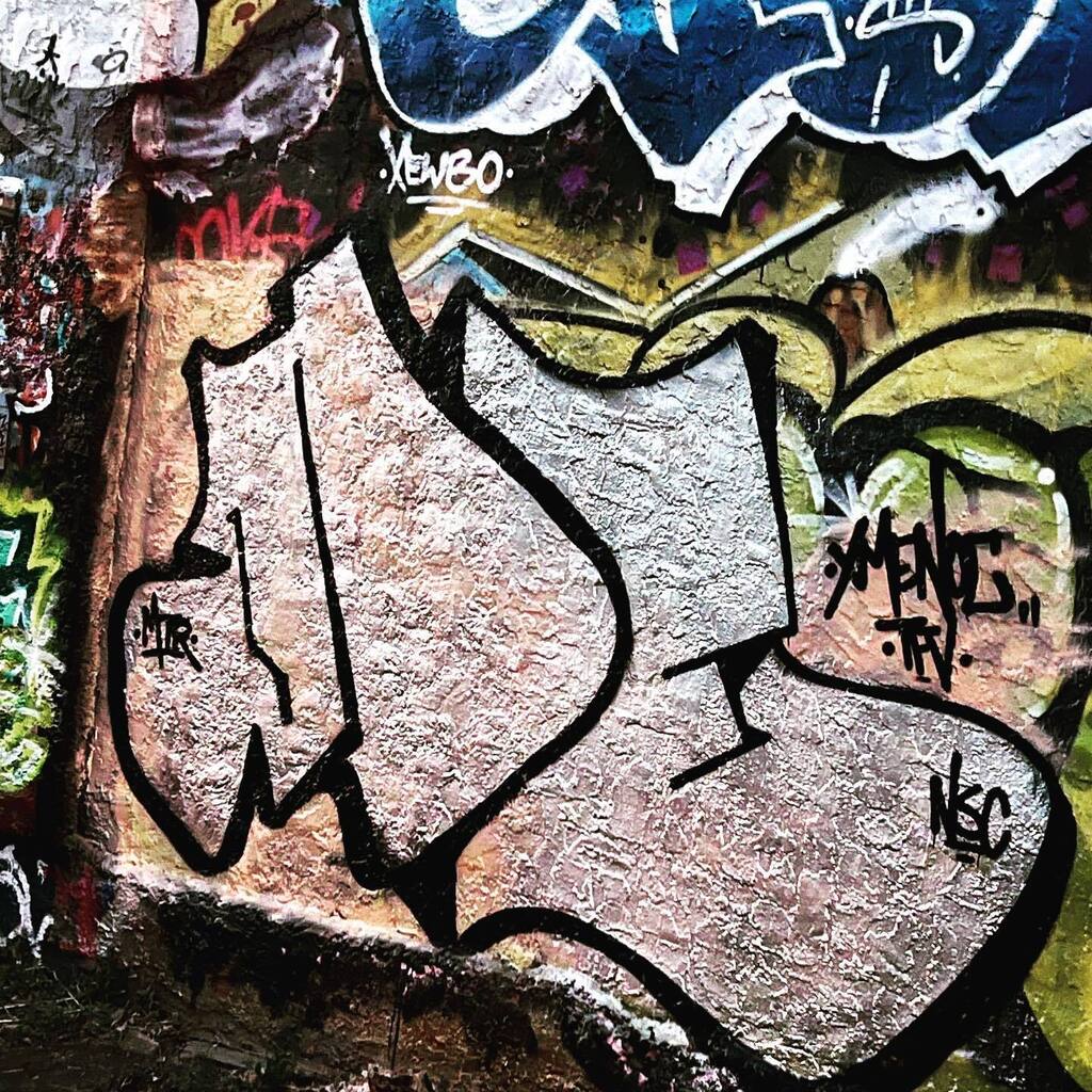 Just a super quick one before it got dark . . . #xmencrew #noccrew #mtrcrew #tfvcrew #nsccrew #graffiti #ilovegraffiti #dtsp #saintpetersburg #nyc #nycgraff #artissin #fatcap #live #love #strive #adventure #citylife instagr.am/p/CrtaEdMJVaz/