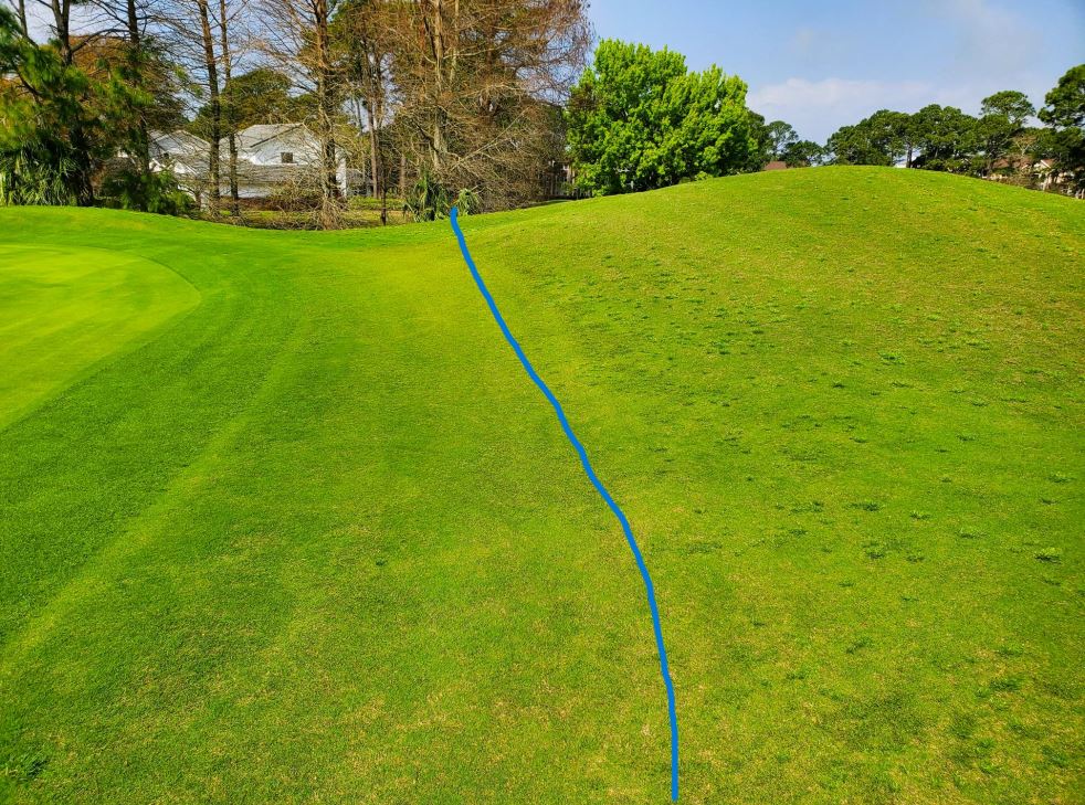 Having great success this Spring with Freehand apps up close to greens to control Poa over the winter.  These apps went down in October last fall and showing incredible results this Spring <a href="/BASFTurf_us/">BASF Turf US</a>