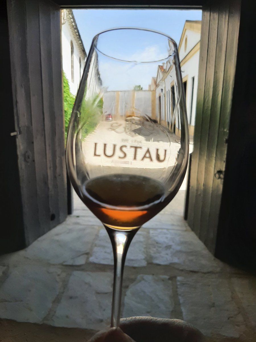 Rafaedgere's tweet photo. Gran visita a @BodegasLustau de la mano #JuanMateo con gran recorrido por los @VinosJerez pasando por #Vinos de #CrianzaBiologica de #JerezDeLaFrontera, #PuertoDeSantaMaria y #SanlucarDeBarrameda, y de nuevo sin encontrar la Manzanilla. Y con un #PaloCotado #VORS en la #Copa https://t.co/qQOIz5jafb