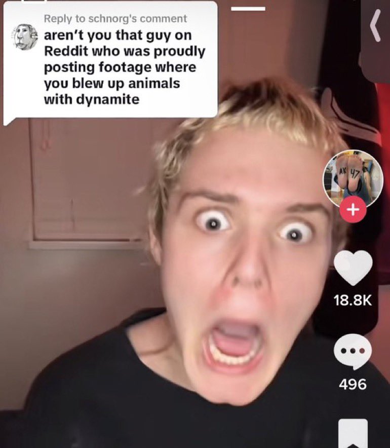 Wild TikToks (@wildtiktokss) on Twitter photo 