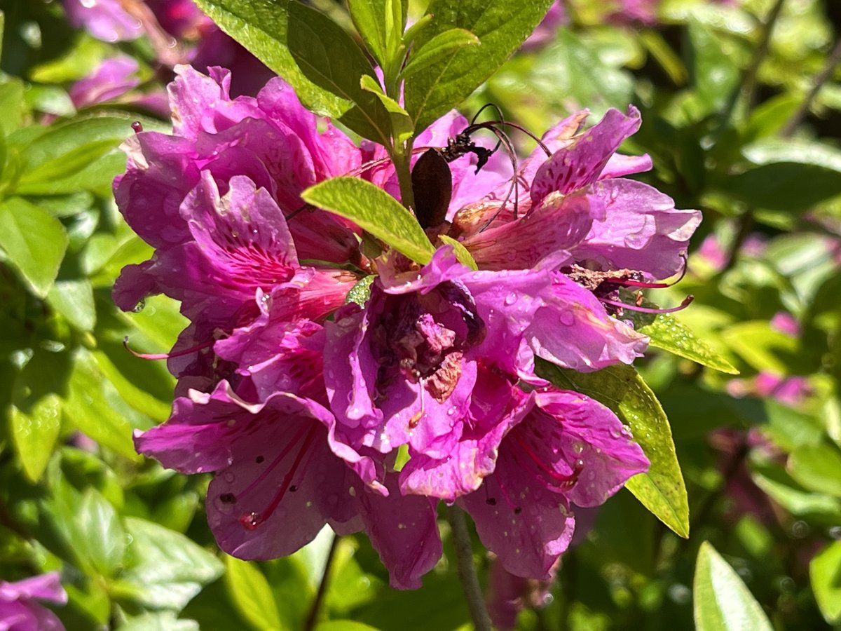 nationwideclass's tweet image. #ilovespring