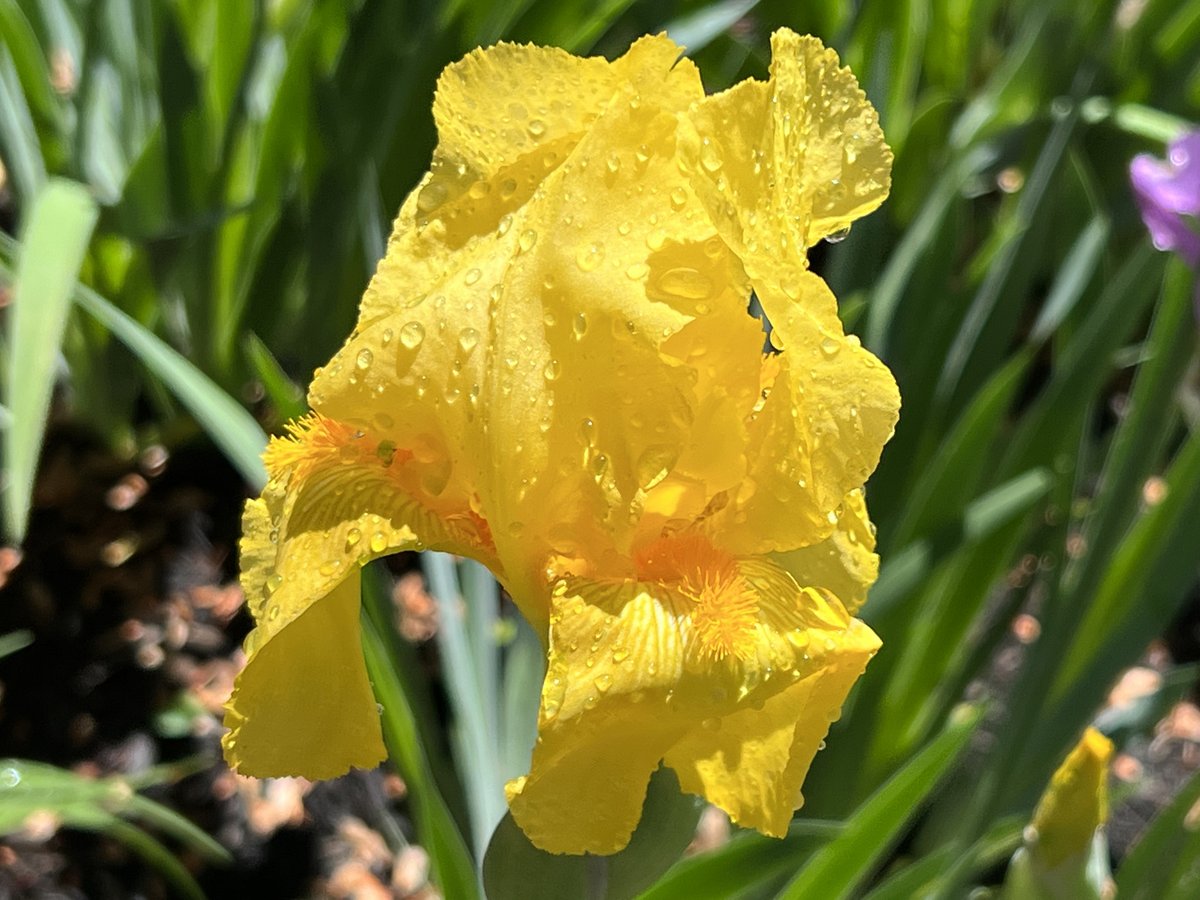 nationwideclass's tweet image. #ilovespring