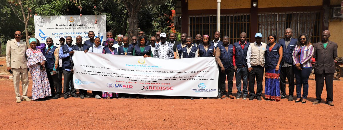 FAOGuinee's tweet photo. Après la formation de 11 formateurs ISAVET niveau de base, #ECTADGN &amp; #REDISSE renforcent les capacités de #20_mentors au #CFEL de #Labé, pour #encadrement des stagiaires ISAVET de niveau de base.
@USAID
@FAOLivestock 
@FAOemergencies 
#OneHealth https://t.co/I95DIYkhKw