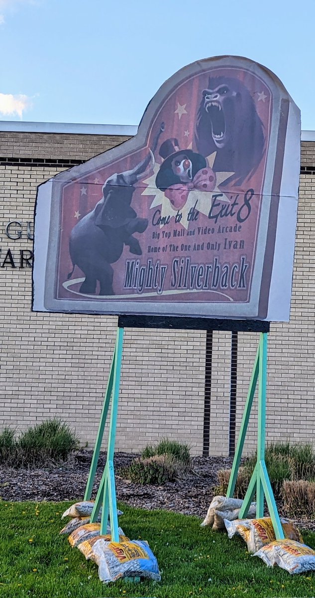 Rachel Jones tweet media