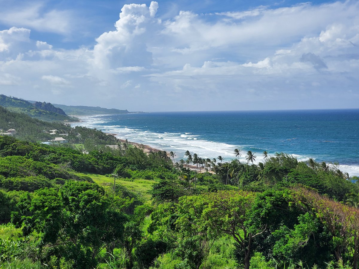 Barbados Island Guide on Twitter: "Totally Barbados ( https://bit.ly