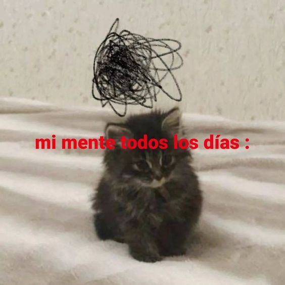 jesswylle's tweet image. (pensamientos raros)