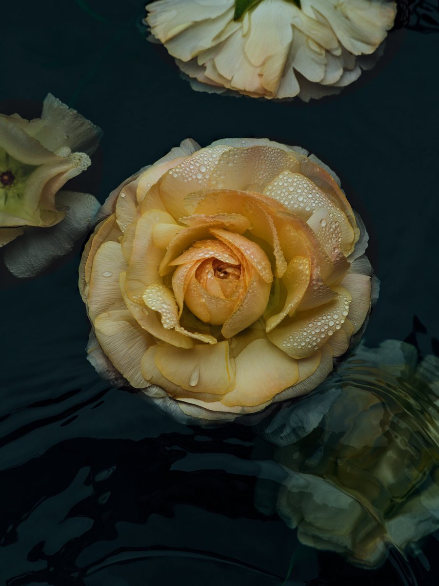 Gm, folks! I’m booked solid with commissioned work this week. I didn’t realize how much I was missing that feeling. 😊