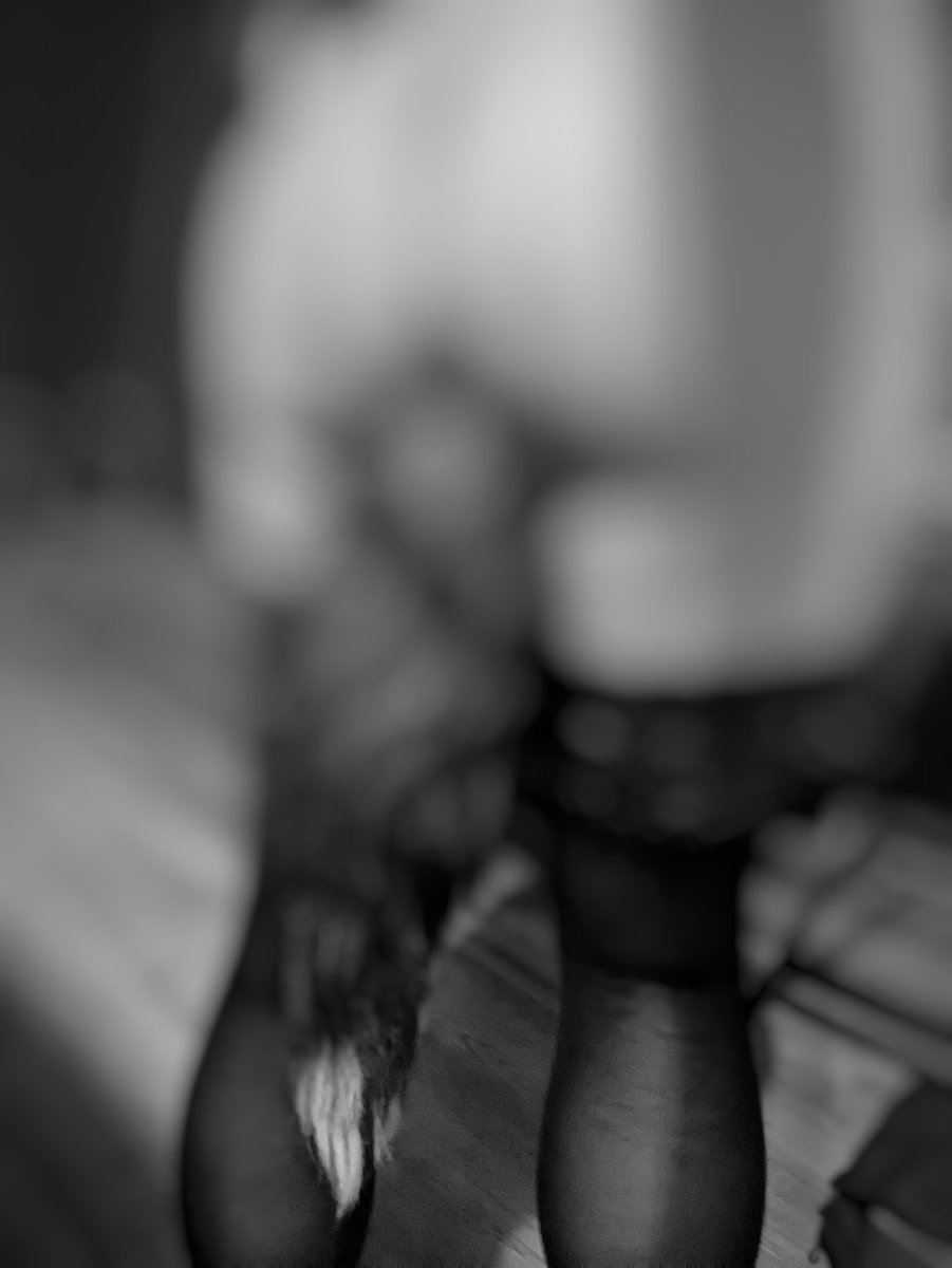 Madamredrum's tweet photo. The tail is back! ๐ sign up to my onlyfans to see the uncensored picture โฅ๏ธ #buttplugtail #buttplug #tailplug #tailbuttplug #stockings #nylonstockings #onlyfans
https://t.co/xJtV29TeUX https://t.co/B5a9W4Xu9a