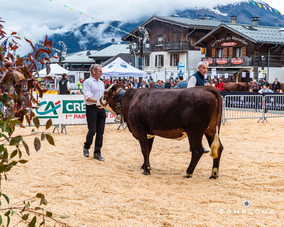 combloux's tweet image. 2ème édition du Comice Agricole du Pays du Mont-Blanc à Combloux 😍

#combloux #comiceagricole #agriculture #montagne @RadioMontBlanc @RedactionRMB @Dep_74