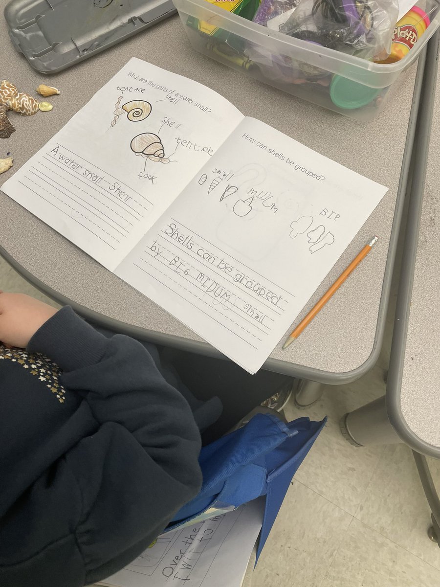Our Kindergarten Scientists are hard at work grouping shells today!🔎🐚<a href="/syracuselatin/">Syracuse Latin</a> <a href="/SCSDScience/">SCSD Science</a> 
<a href="/FOSSscience/">FOSS Science</a>