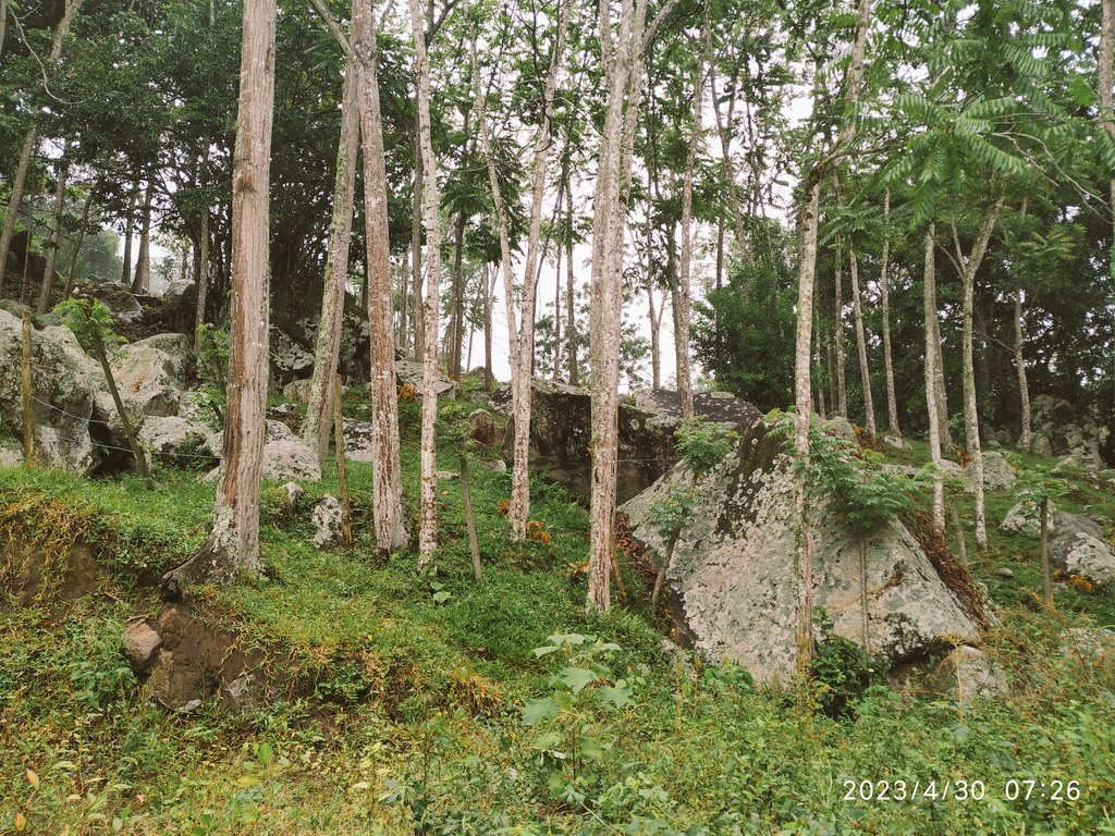 Muestreo de cropófagos en "la india acostada" comunidad indigena de Cañamomo, territorio virgen.
